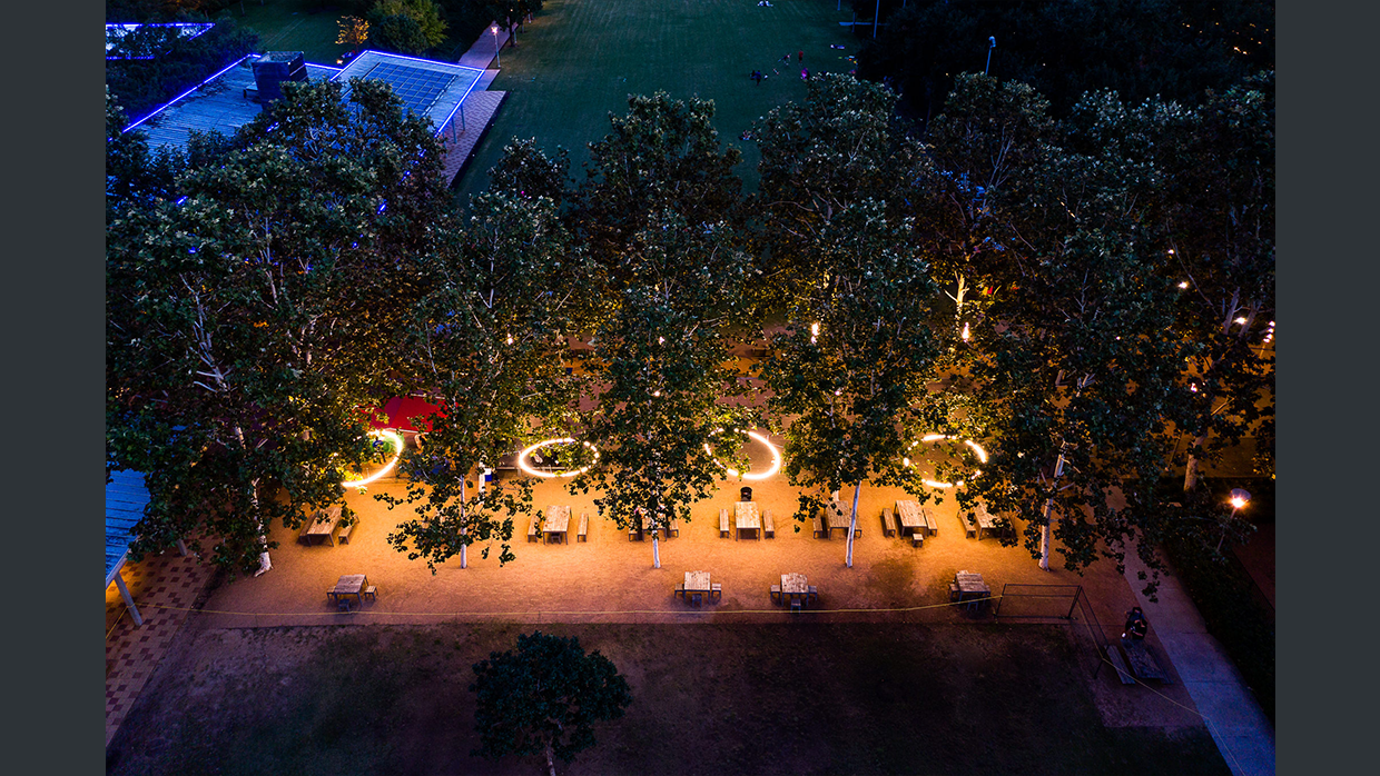 discovery green rings